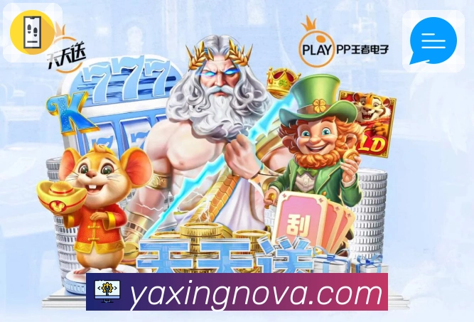球员追踪