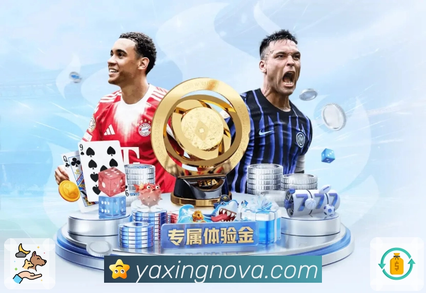 亚星官网平台展示图